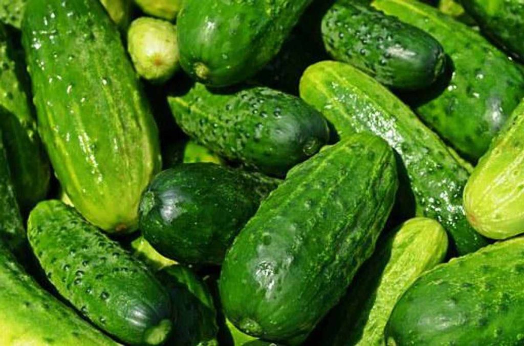 How to Be Healthy