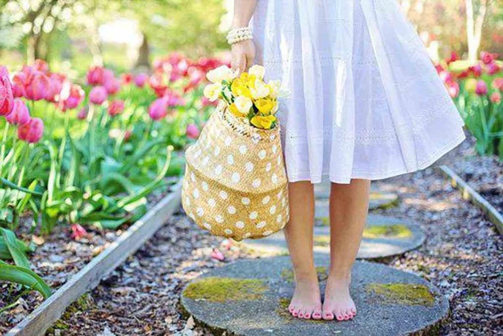 How Colour Works in the Garden