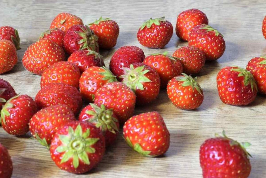 How to Design the Perfect Diet