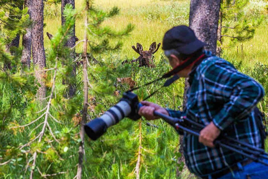 wifi trail camera